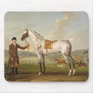 Scipio, Oberst Roches Spotted Hunter, c.1750 (oi Mousepad