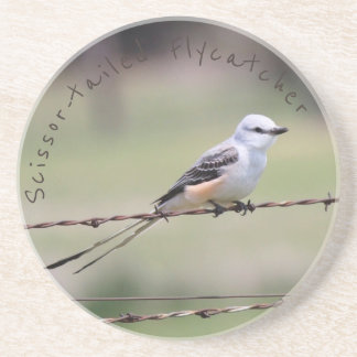 Scissor-angebundener Flycatcher-Untersetzer Untersetzer