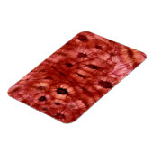 Sclerenchyma Zellen aus der Kirschgrube Magnet (Linke Seite)