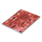 Sclerenchyma Zellen aus der Kirschgrube Notizblock (Rotiert)