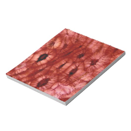 Sclerenchyma Zellen aus der Kirschgrube Notizblock (Rotiert)