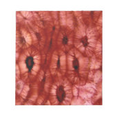 Sclerenchyma Zellen aus der Kirschgrube Notizblock (Vorderseite)