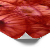 Sclerenchyma Zellen aus der Kirschgrube Poster (Ecke)