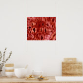 Sclerenchyma Zellen aus der Kirschgrube Poster (Küche)