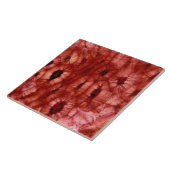 Sclerenchyma Zellen von einer Kirschgrube Fliese (Seite)