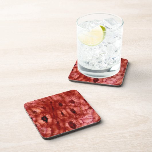 Sclerenchyma Zellen von einer Kirschgrube Getränkeuntersetzer (Rechte Seite)