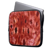 Sclerenchyma Zellen von einer Kirschgrube Laptopschutzhülle (Vorderseite Links)