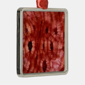 Sclerenchyma Zellen von einer Kirschgrube Ornament Aus Metall (Rechts)