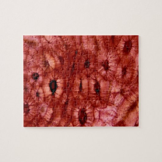 Sclerenchyma Zellen von einer Kirschgrube Puzzle (Horizontal)