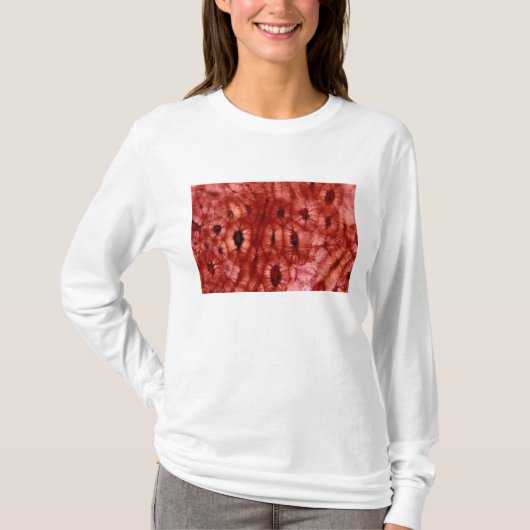 Sclerenchyma Zellen von einer Kirschgrube T-Shirt (Vorderseite)