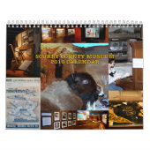 SCM - BÜFFEL-ABDECKUNG - KALENDER (Titelbild)