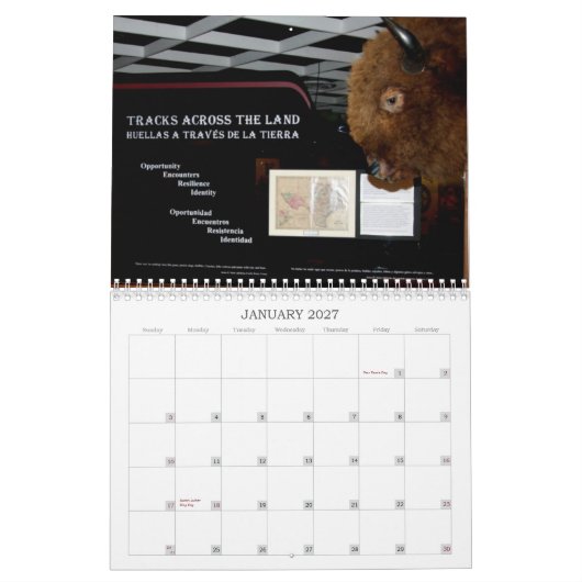 SCM - BÜFFEL-ABDECKUNG - KALENDER (Jan 2027)