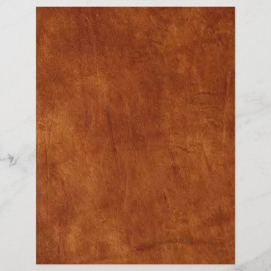 Scoll Flyer (Hinten)