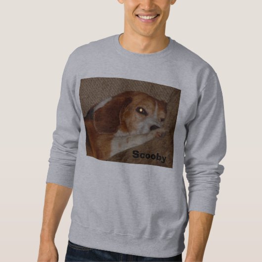 Scooby auf Couch Sweatshirt (Vorderseite)