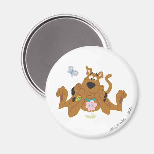 Scooby-Doo Admiring-Blume Magnet (Vorderseite/Rückseite)
