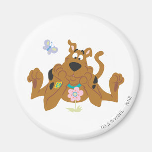 Scooby-Doo Admiring-Blume Magnet