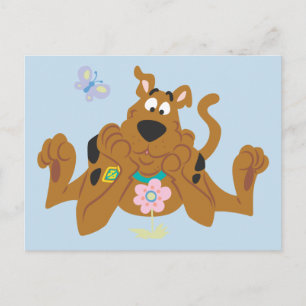 Scooby-Doo Admiring-Blume Postkarte