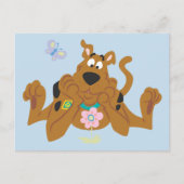 Scooby-Doo Admiring-Blume Postkarte (Vorderseite)