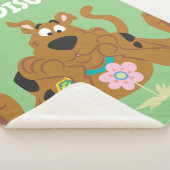 Scooby-Doo Admiring-Blume Sherpadecke (3/4)