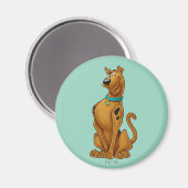Scooby-Doo Airbrush-Pose Magnet (Vorderseite/Rückseite)