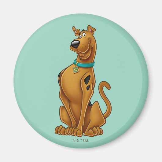 Scooby-Doo Airbrush-Pose Magnet (Vorne)