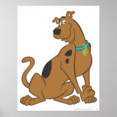 Scooby-Doo Bashful-Pose Poster (Vorne)