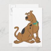 Scooby-Doo Bashful-Pose Postkarte (Vorne/Hinten)