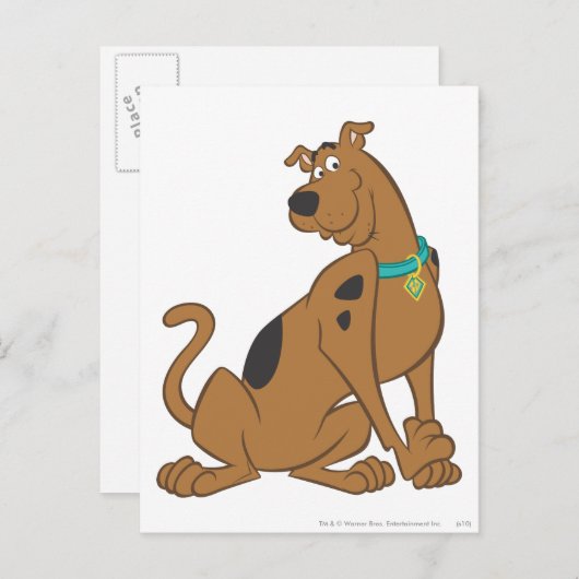 Scooby-Doo Bashful-Pose Postkarte (Vorne/Hinten)