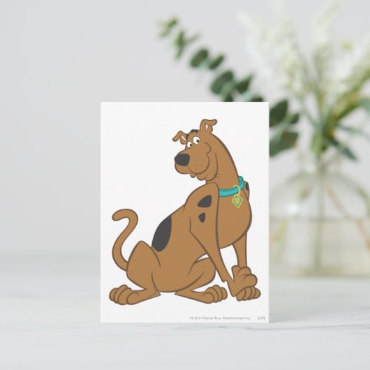 Scooby-Doo Bashful-Pose Postkarte (Stehend Vorderseite)