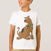 Scooby-Doo Bashful-Pose T-Shirt (Vorderseite)