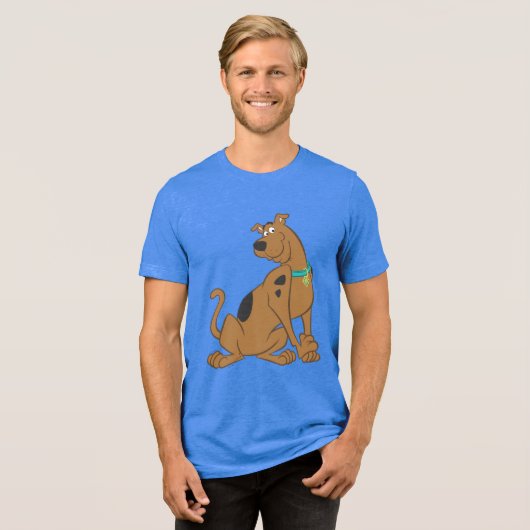 Scooby-Doo Bashful-Pose Tri-Blend Shirt (Vorderseite voll)