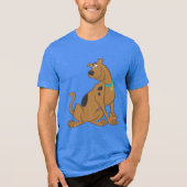 Scooby-Doo Bashful-Pose Tri-Blend Shirt (Vorderseite)
