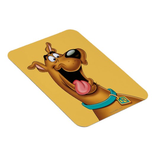 Scooby-Doo begeistert Magnet (Rechte Seite)