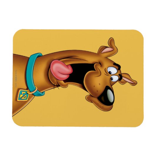 Scooby-Doo begeistert Magnet (Horizontal)