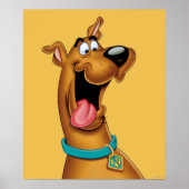 Scooby-Doo begeistert Poster (Vorne)