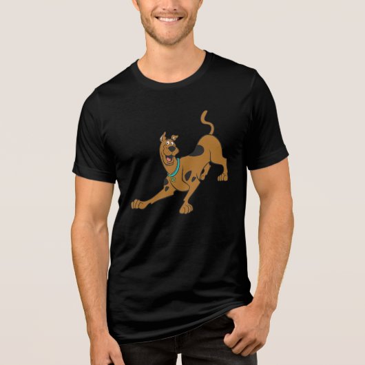 Scooby-Doo bereit zum Spielen Tri-Blend Shirt (Vorderseite)
