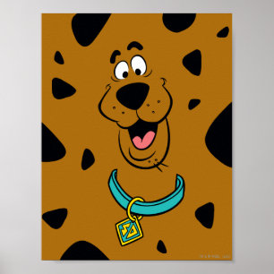 Scooby-Doo Camouflage Poster
