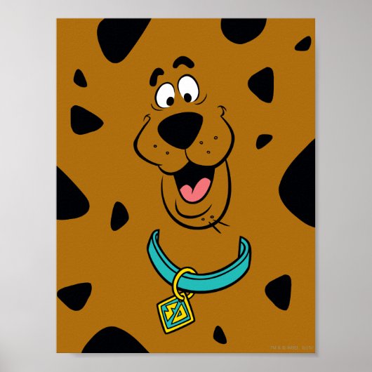 Scooby-Doo Camouflage Poster (Vorne)