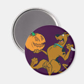 Scooby-Doo Carving Pumpkin Magnet (Vorderseite/Rückseite)