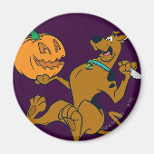 Scooby-Doo Carving Pumpkin Magnet (Vorne)