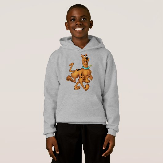 Scooby-Doo glücklicher Weg Hoodie (Vorne ganz)