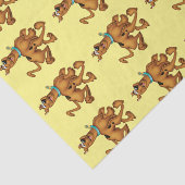 Scooby-Doo glücklicher Weg Seidenpapier (Ausschnitt)