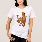 Scooby-Doo glücklicher Weg Tri-Blend Shirt (Vorderseite)