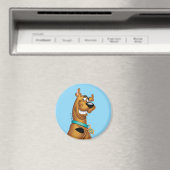 Scooby-Doo Grin Magnet (In Situ (Geschirrspüler))
