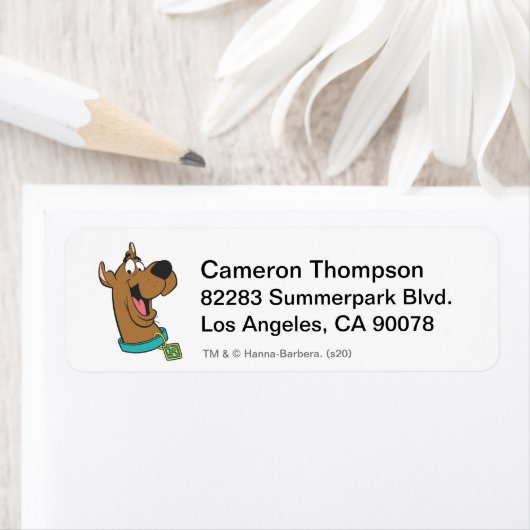 Scooby-Doo Happy Face (Insitu)