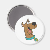 Scooby-Doo Happy Face Magnet (Vorderseite/Rückseite)