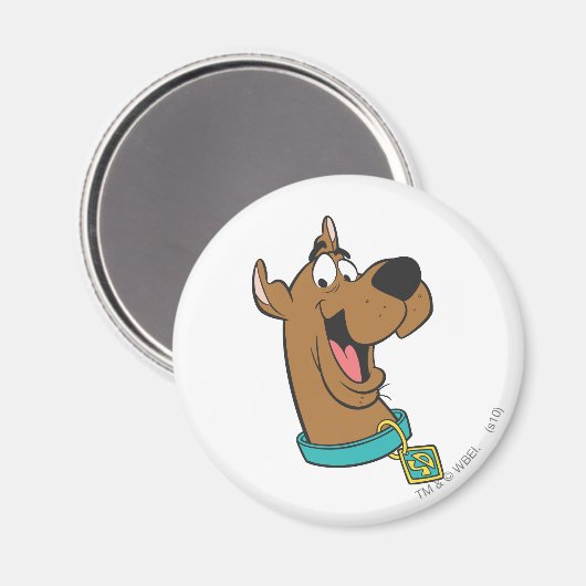 Scooby-Doo Happy Face Magnet (Vorderseite/Rückseite)