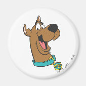 Scooby-Doo Happy Face Magnet (Vorne)