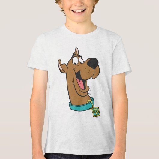 Scooby-Doo Happy Face Tri-Blend Shirt (Vorderseite)