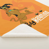 Scooby-Doo | Happy Haunting Sherpadecke (3/4)